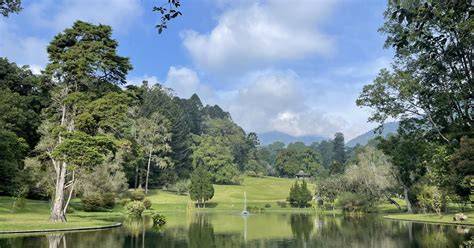 Kebun Raya Cibodas